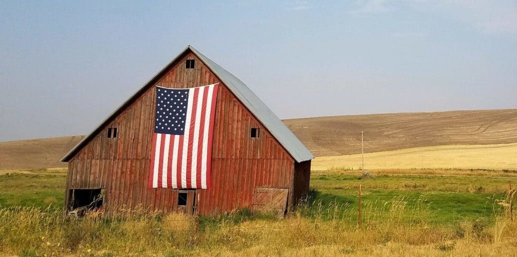 A red barn sits in a field of grain with an American flag draped over the front.