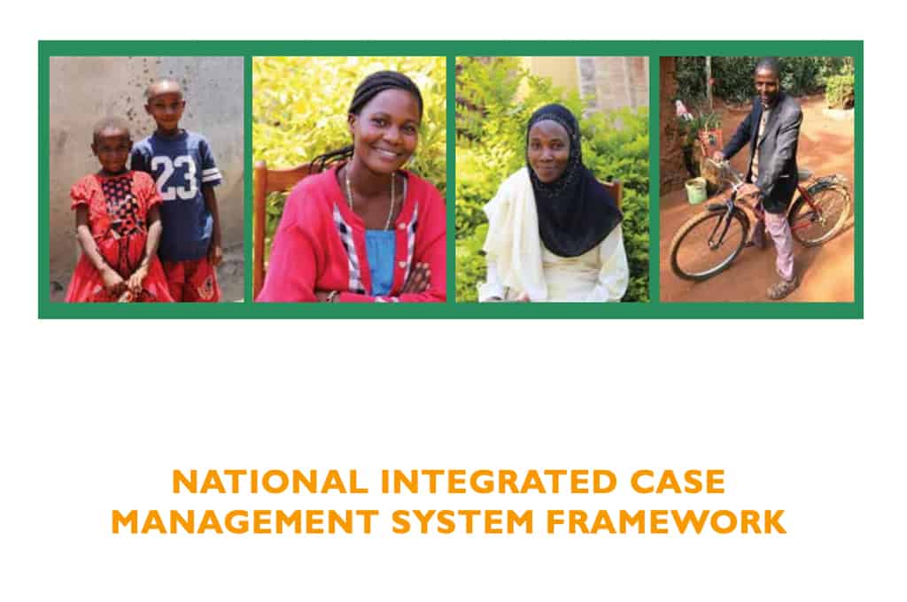 National Integrated Case Management System Framework - Tanzania