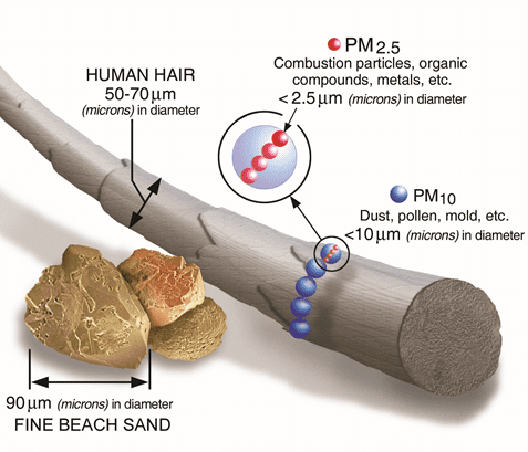A graphic shows the size comparisons of human hair, fine beach sand, and air pollution particles.