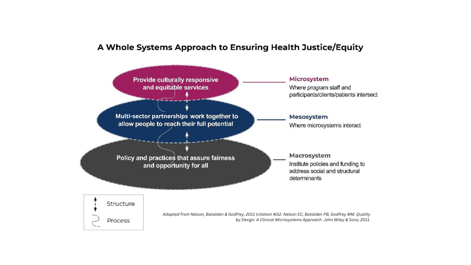 White Systems Approach to Ensuring Health Justice and Equity